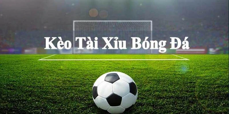 Những lý do nên chọn xem kèo ngày mai tại 888B